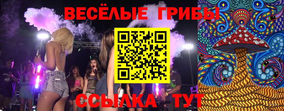 Галлюциногенные грибы Psilocybine cubensis  Вход с VPN  Тосно 